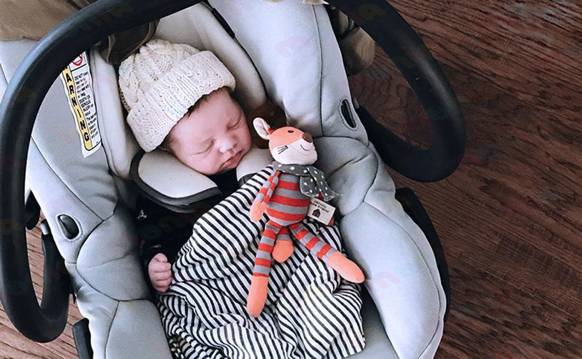 قیمت انواع کریر کودک