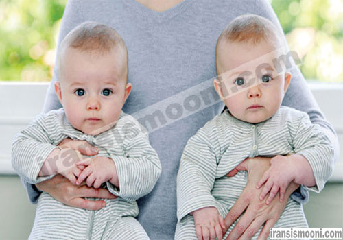 قیمت کالسکه 2 قلو