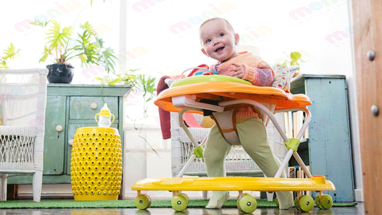 قیمت عمده روروئک 